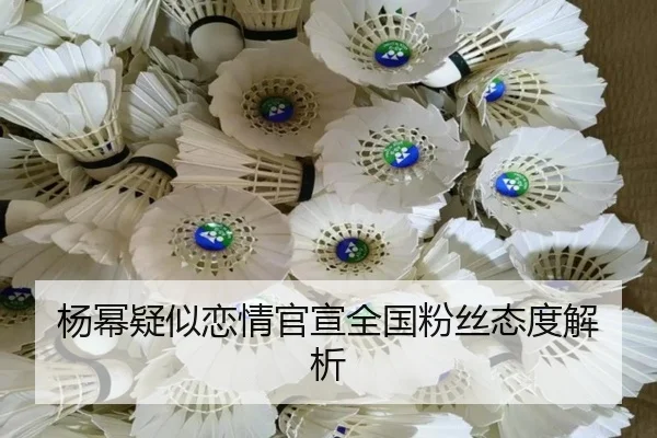 yang-mi-yi-si-lian-qing-guan-xuan-quan-guo-fen-si-tai-du-jie-xi-2-225.jpg